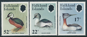 Фалкленды, 1984, Птицы, 3 марка